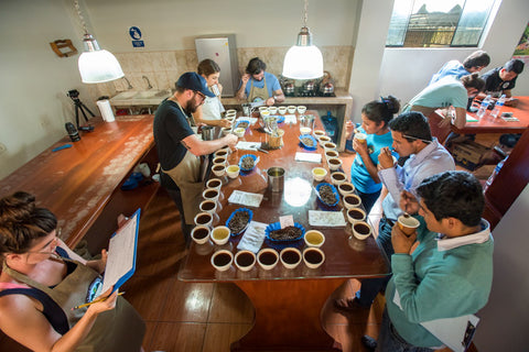 Peru Chirinos: Using Teamwork to Build a Better Future for Coffee Producers