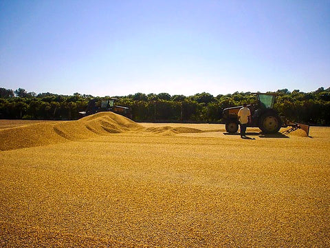 December Coffee Releases: Burundi Long Miles Coffee Project and Brazil Cerrado