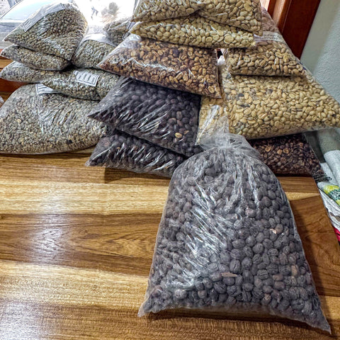 green coffee and roasted coffee in clear bags