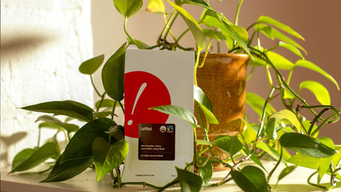 A bag of coffee on a shelf next to a plant. 