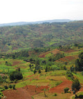 coffee farms in valley