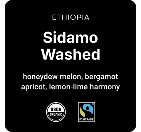 Ethiopia Sidamo Washed