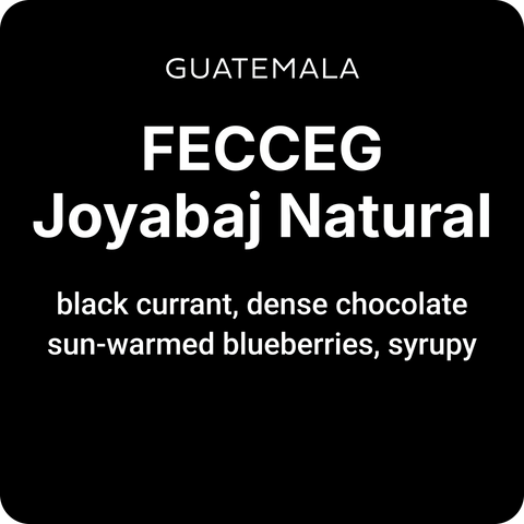 Guatemala FECCEG Joyabaj Natural