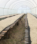 Drying racks at Kenya Kabngetuny.