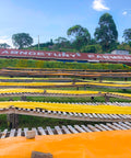 Drying racks at Kenya Kabngetuny.