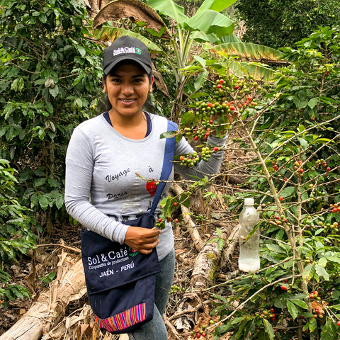 María Perez, a staff member from Sol y Café, in a coffee field. 