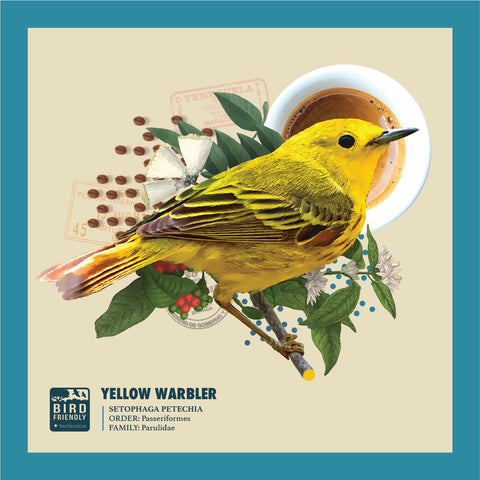 Bird Friendly coffee art of a yellow warbler, with the Bird Friendly seal displayed.