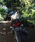 A cat sitting on a motorcycle.