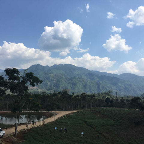 A landscape in Honduras.