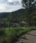 A view across a hill in the Gayo Highlands.