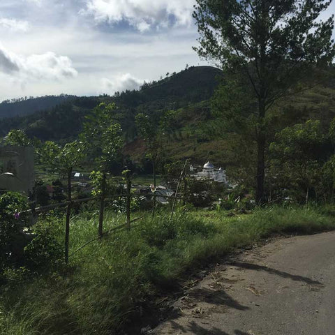 A view across a hill in the Gayo Highlands.